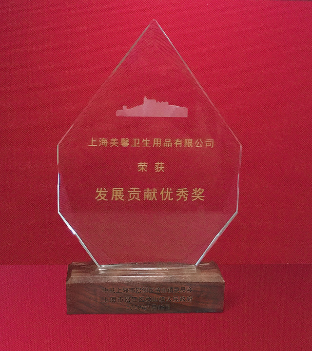 發(fā)展貢獻(xiàn)獎(jiǎng)獎(jiǎng)盃.jpg